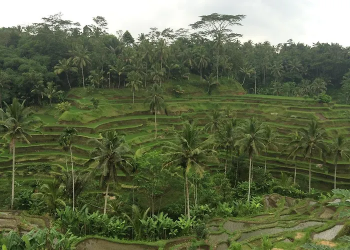 Pangkung House Ubud